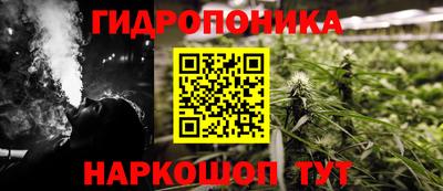 твердый Можга