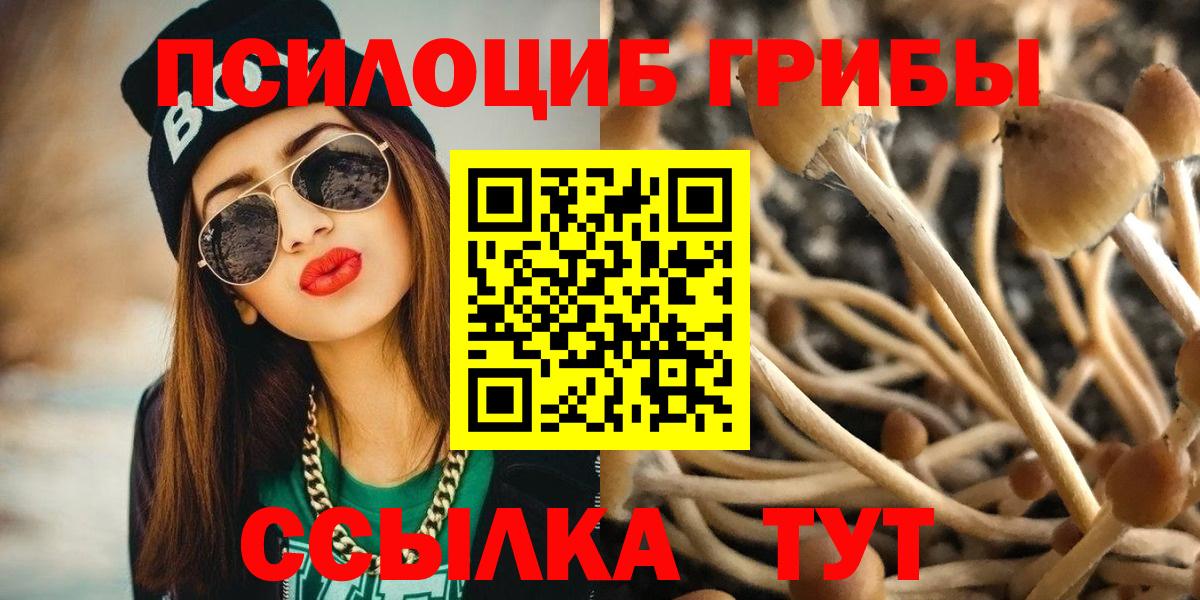 Галлюциногенные грибы MAGIC MUSHROOMS  Вход с VPN  Симферополь 