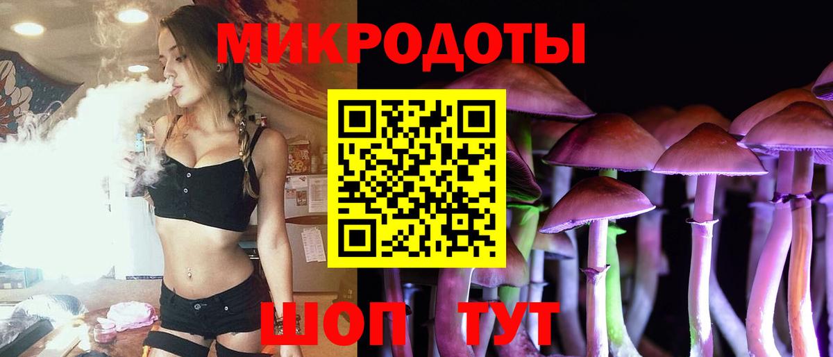 Псилоцибиновые грибы Psilocybine cubensis Симферополь